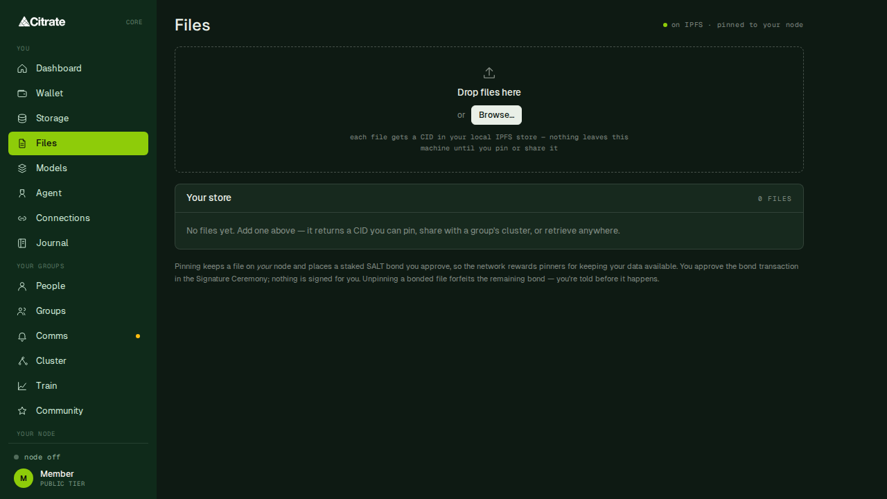 Files: content-addressed storage on the network.