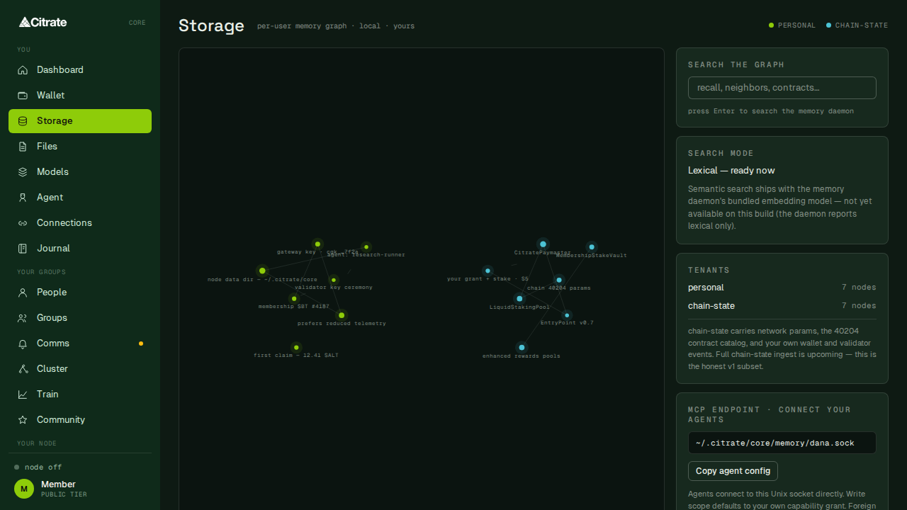 Storage: the local memory graph you and your agents read and write.
