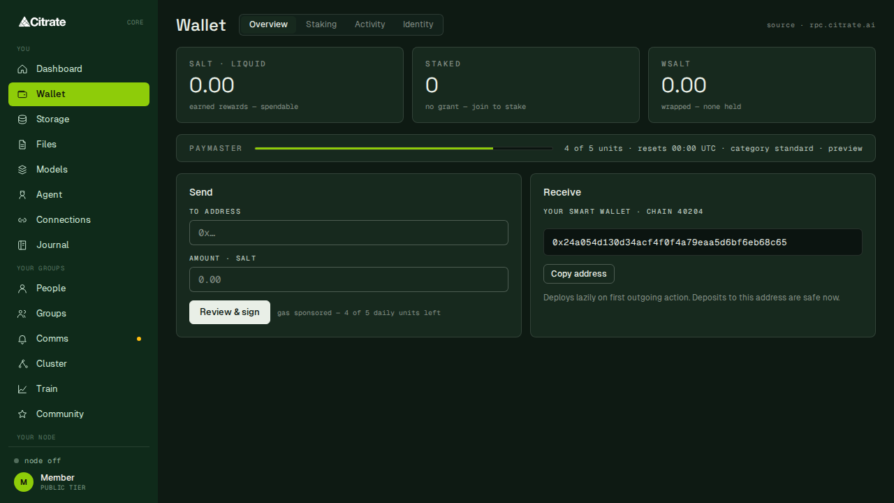 The account surface, Overview tab: balances, the paymaster meter, and send and receive.