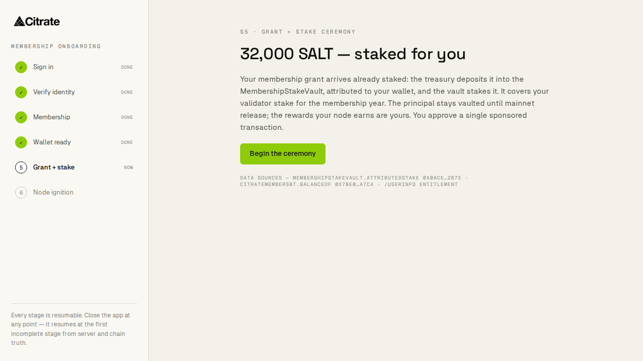 Step 5, grant and stake: the grant lands in your account and bonds into a validator stake, step by step.