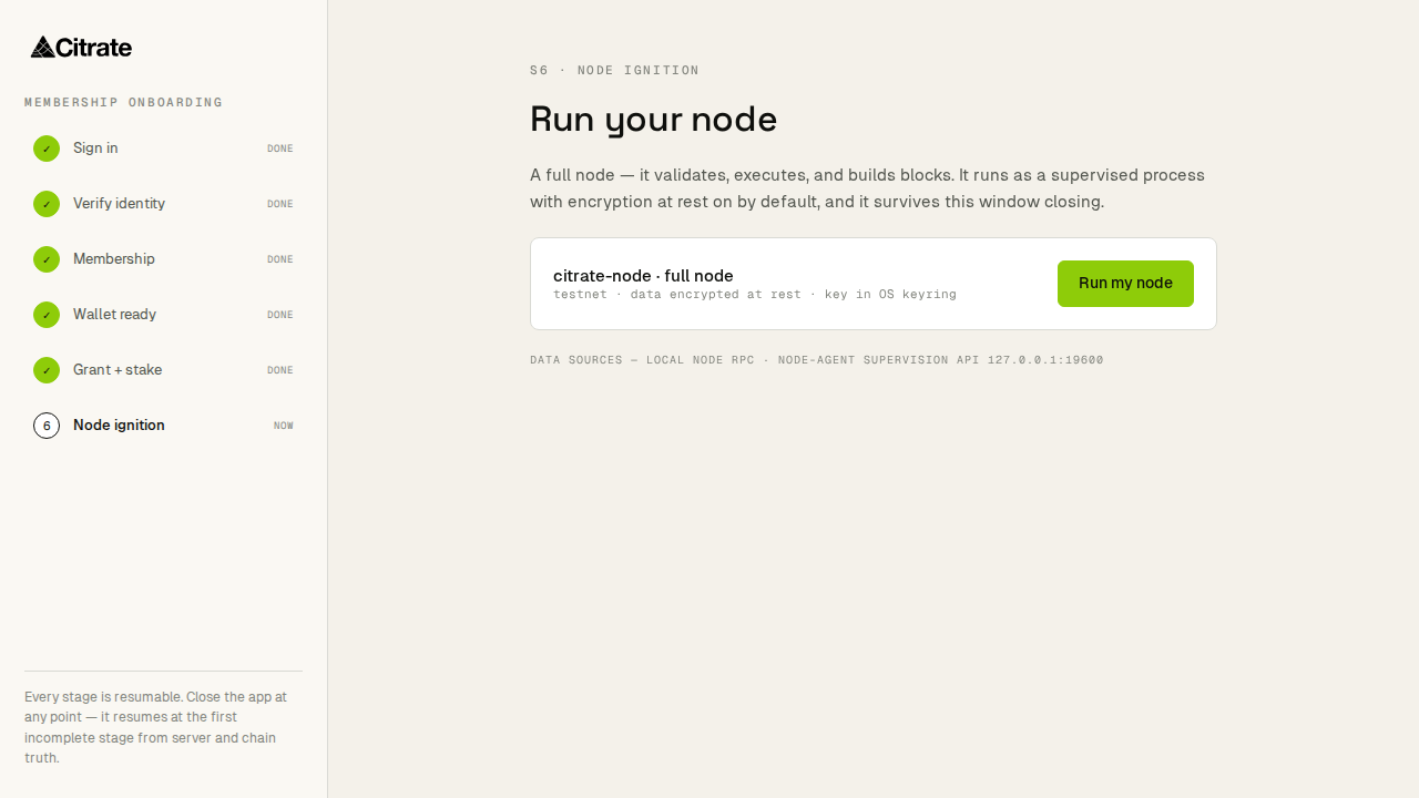 Step 6, node ignition: the node process starts, joins chain 40204, and comes online.